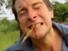 Play Man vs. Wild                                                                - Beetle Larvae