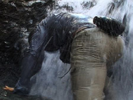 Man vs. Wild                - African Savannah Upstream