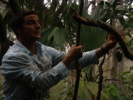 Man vs. Wild                - Everglades Food and Shelter