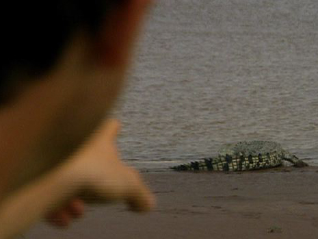 Man vs. Wild                - Australia Crocodiles