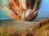 Destroyed in Seconds - Beached Whale Explosion