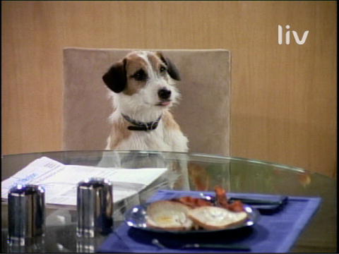 Frasier - EddieSpaghetti