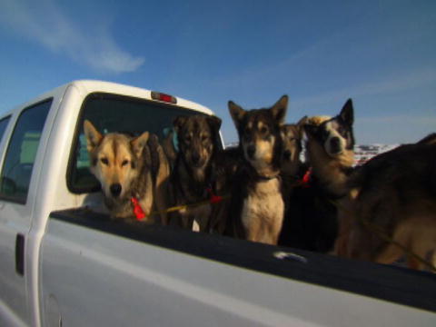 Flying Wild Alaska: The Alaskan Iditarod