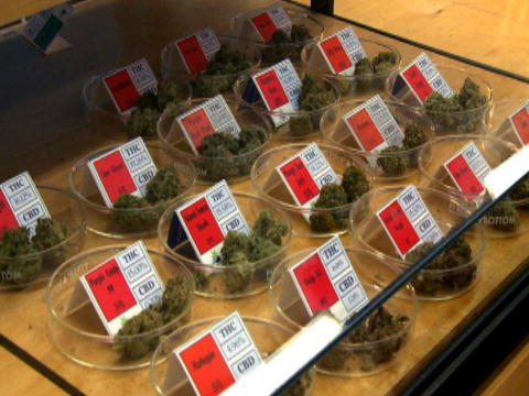 Weed Wars: Velkommen til Harborside