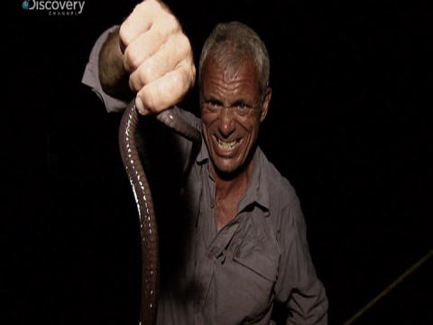 River Monsters: De mest bizarre: Indvoldsfisk