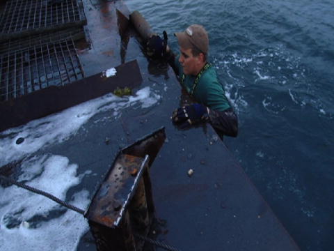 Gold Divers: Mand overbord