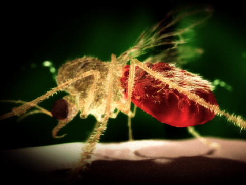 Monsters Inside Me: Ansiktsätande parasit