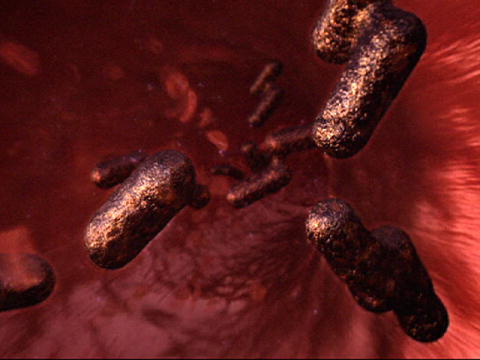 Monsters Inside Me: Rottebid-feber