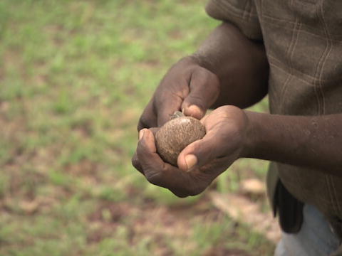 World's Toughest Expeditions: Naturmad