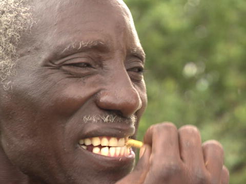 World's Toughest Expeditions: Mpisi's tandbørste