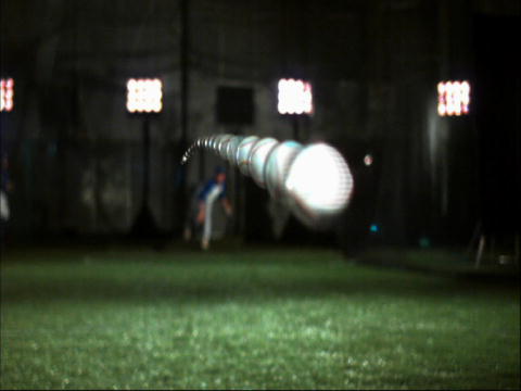 Sport Science: Fugl ramt af baseball
