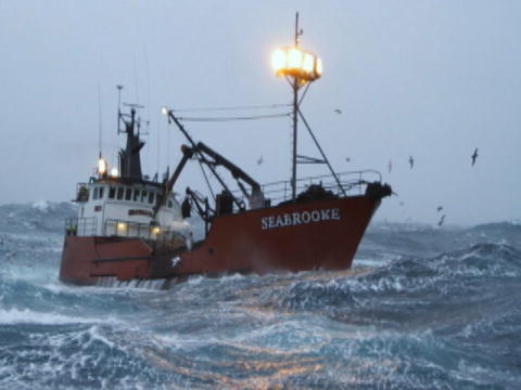 Livsfarlig fangst: Højt spil i høj sø