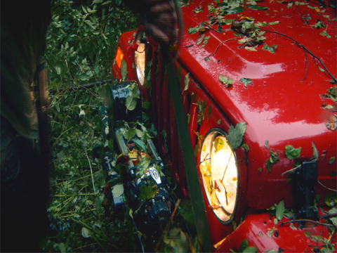 One Car Too Far: Kill Bill