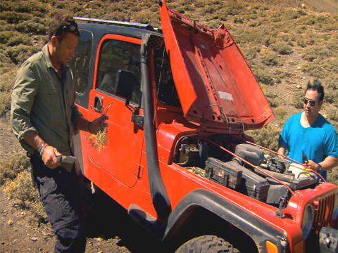 One Car Too Far: Bill's plante-fix
