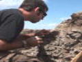 Discovery News