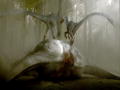Clash of the Dinosaurs: Sauropod Bloodbath
