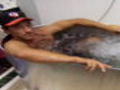 Dirty Jobs: Sexy Mike