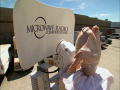 MythBusters: Electromagnetic Turkey