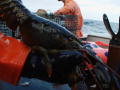Lobstermen