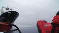 Whale Wars: A Failed Attack