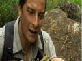 Born Survivor: Cat Fishing