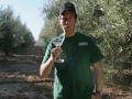 Dirty Jobs