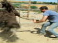 Dirty Jobs: Tiere (engl.)