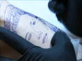 LA Ink