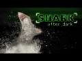 Shark After Dark: Nighttime Sharks