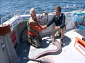 Dream Fishing: Huge Conger Eel