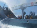 Whale Wars