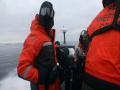 Whale Wars: Attack With Butyric Acid