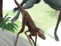 Discovery News