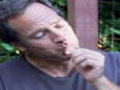 Dirty Jobs: Mahlzeit (engl.)