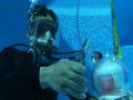 MythBusters