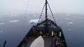 Whale Wars: Navigating an Ice Field