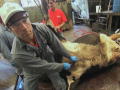 Dirty Jobs