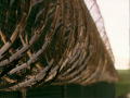 Guantánamo