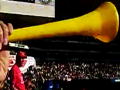  World Cup 2010