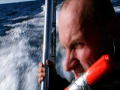 Whale Wars
