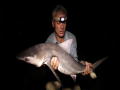 River Monsters: Groeien haaien op in de rivier?