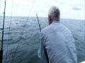 River Monsters: Haaien vangen