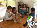 Vídeo experimento)