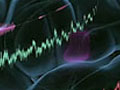 Ciencia del Sex Appeal - Voz