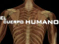 El Cuerpo Humano - Máquina