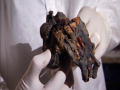 King Tut Unwrapped