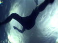 Blood in the Water: Alleen in het water?