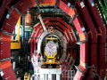 Through the Wormhole: Reviving Extinct Matter