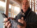 Taking on Tyson