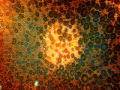 Stephen Hawking's Universe: Home-grown Star